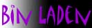 Funny Osama Bin Laden thingy